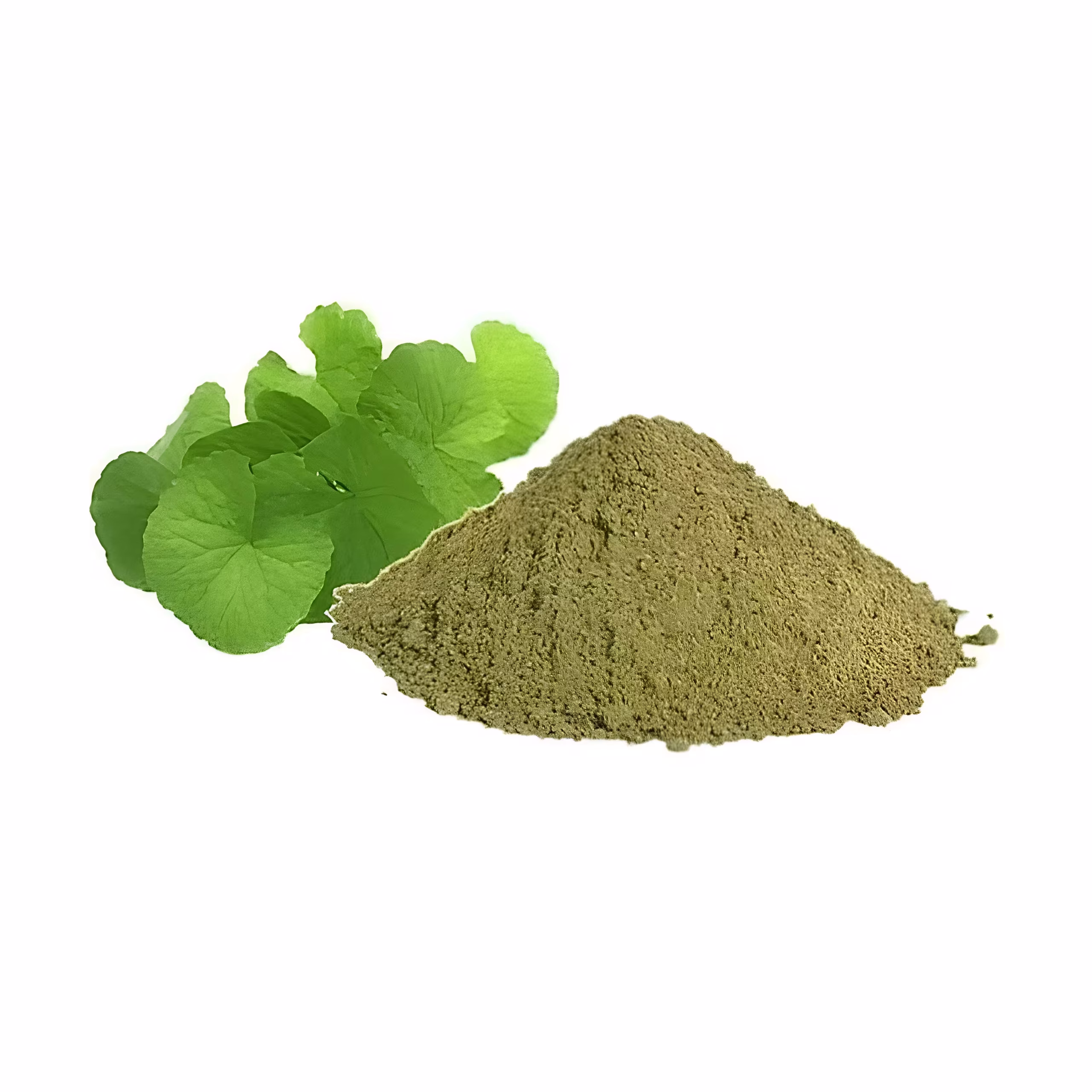 ব্রাহ্মী শাক চূর্ণ